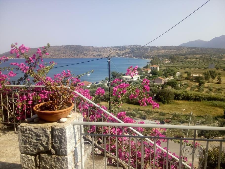 Kamares View Daire Ageranos Dış mekan fotoğraf