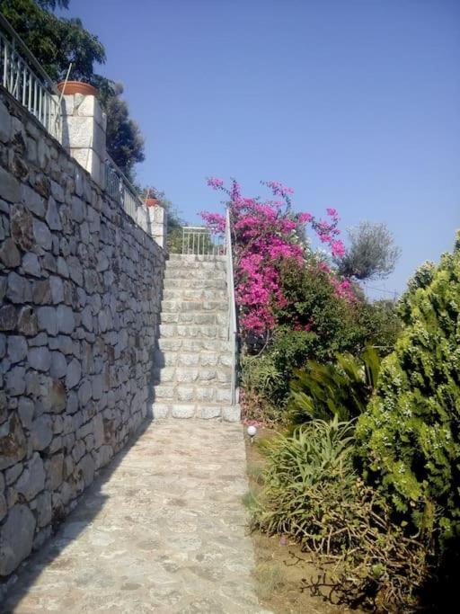 Kamares View Daire Ageranos Dış mekan fotoğraf